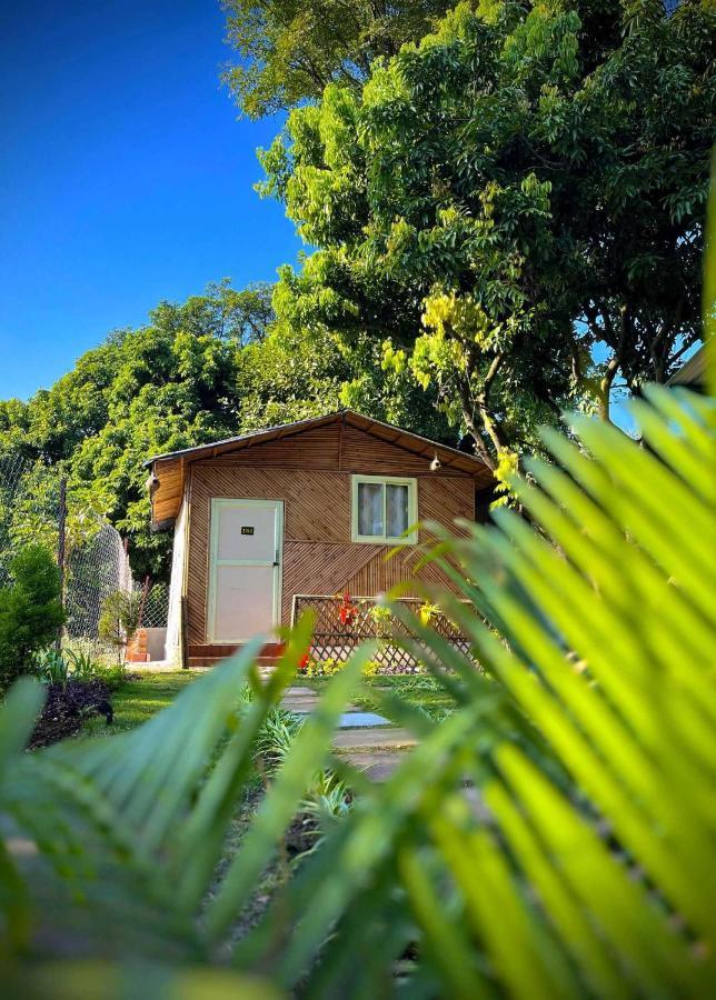 Hotel O Royal Tree Cafe And Resort Dehradun Buitenkant foto